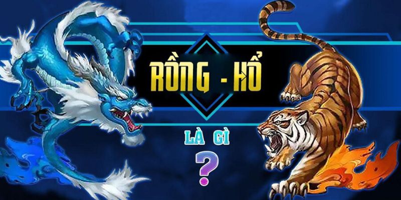 cách chơi rồng hổ
