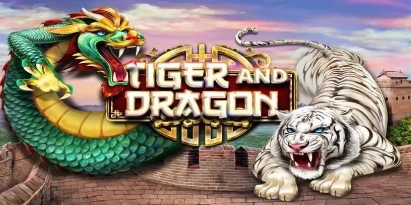 Hướng dẫn chi tiết cách chơi rồng hổ siêu đơn giản