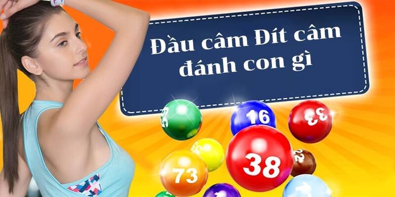 Các con số nên đánh khi xuất hiện lô câm
